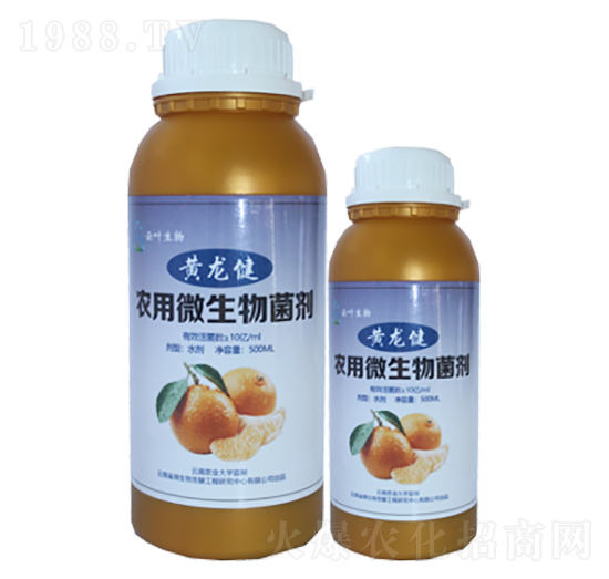 �r��΢�������-�S����-���~����