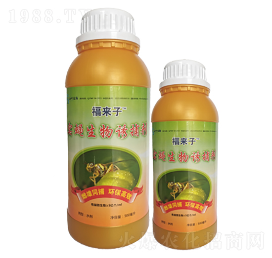 ��ω�����T����-������-���~����