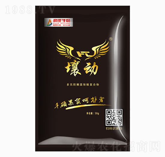 ����FT(���w)-�ļ����B(t��i)