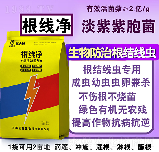 ������΢�������-��Ʒ����