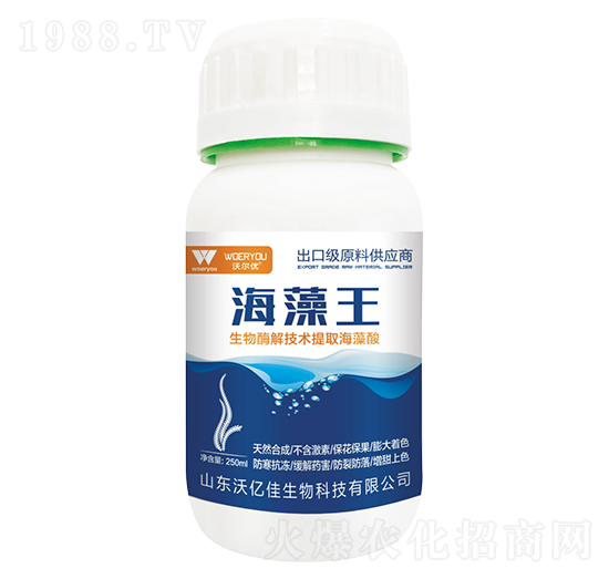 �����������ڼ�(j��)ԭ�Ϲ���(y��ng)�̣�-�֠���(y��u)