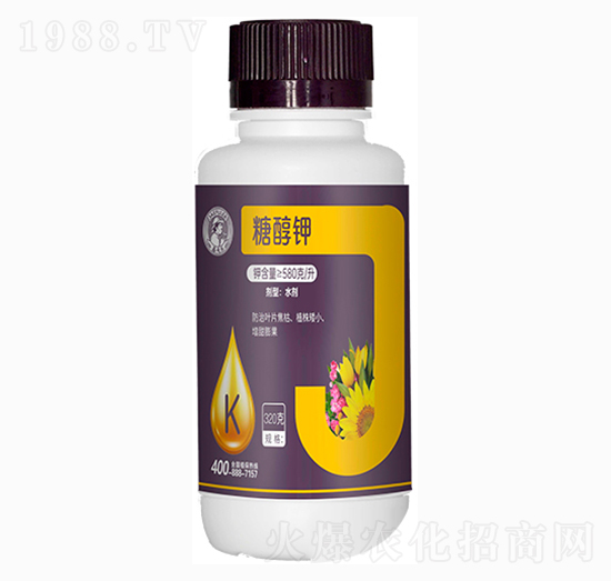 �Ǵ��-�η�