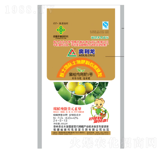 ���֌��÷�1̖24-5-13-�W����-�W��