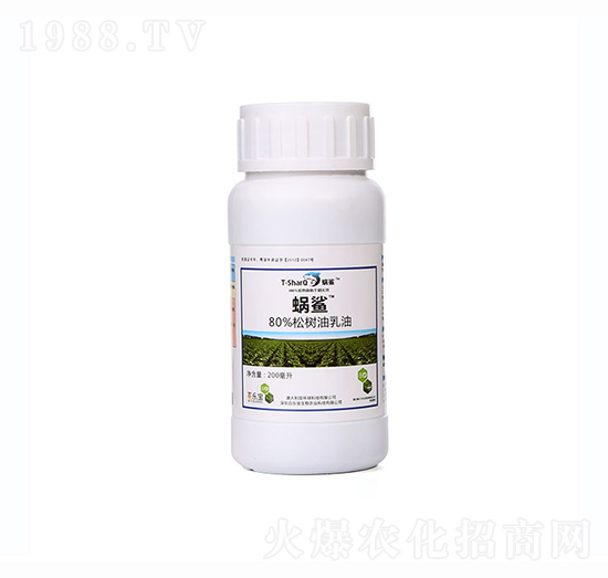 80%�ɘ�������-΁��-�٘���