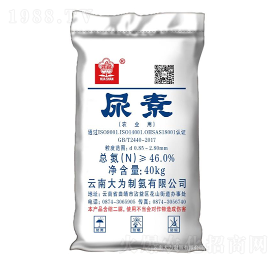 ����-����ư�