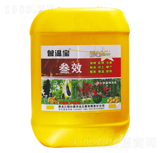 ��Ч-���،�-����