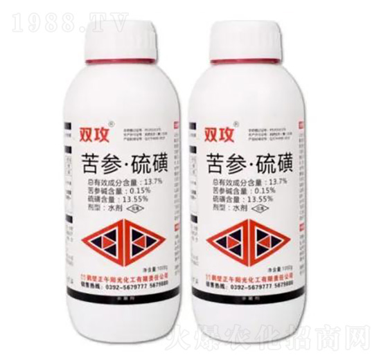 13.7%���������-�p��-����ꖹ�