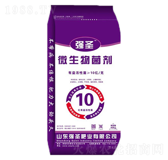 10�|΢�������-��ʥ