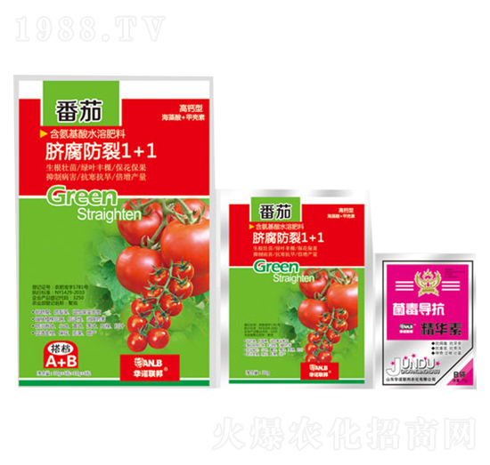 ����Ě������1+1-�A�Z(li��n)��