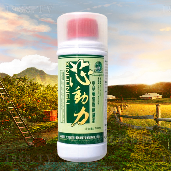 �в�ˎ����������-о����-�r(n��ng)��