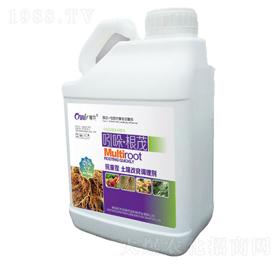 ���ᡤ��ï-�|������