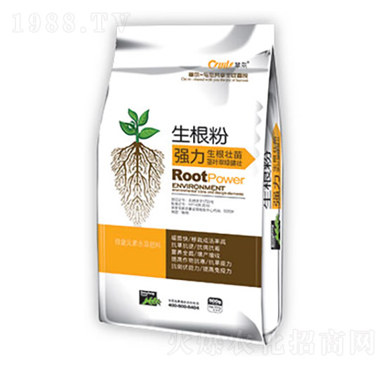 ����������-�|������