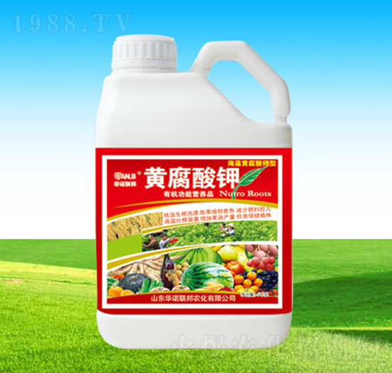 �S�����-�A�Z(li��n)��