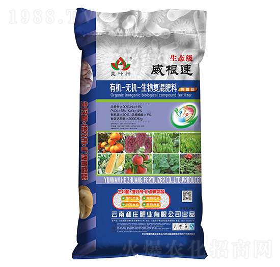 �ЙC(j��)�o(w��)�C(j��)�����(f��)�����11-5-4-���f�ʘI(y��)