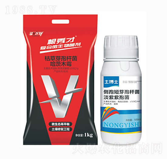 �����+����ʿ-�п��r(n��ng)�I(y��)