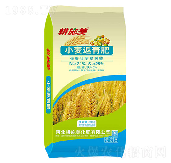 С�������-��ʩ��