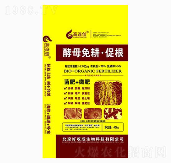 ��ĸ����ٸ�����-���B��(chu��ng)-���ճ�