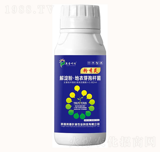 ����ۡ�����ѿ�ߗU��-�����`-Ӣ���~��