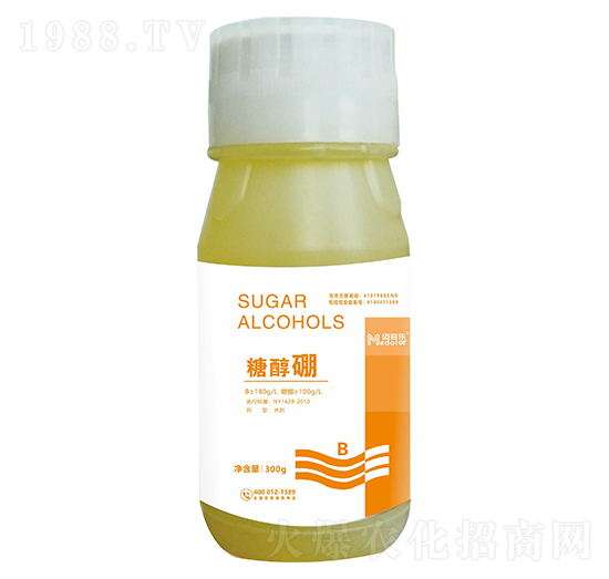 �Ǵ���-�~����