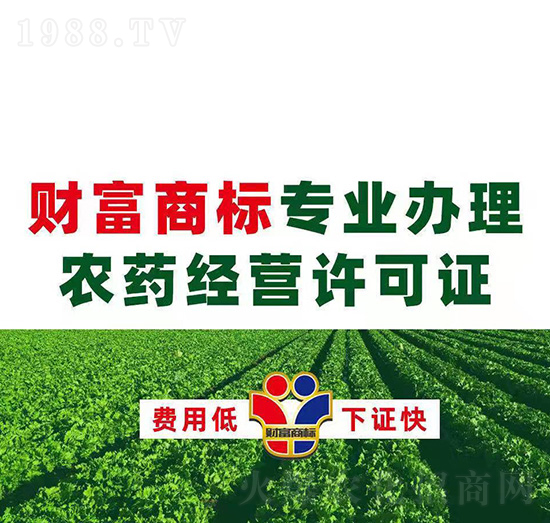 �r(n��ng)ˎ��(j��ng)�I�S���C�k��-ؔ���̘�