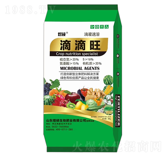 �ε���-�ϴT����