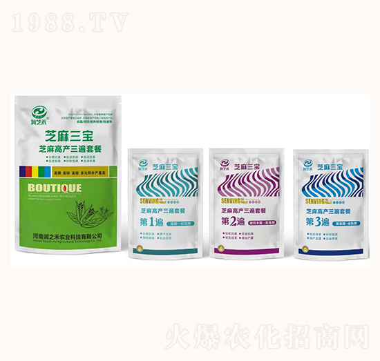 ֥��߮a�����ײ�-֥������-��֥��