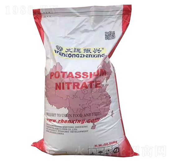 ⛷�-����ʘI(y��)