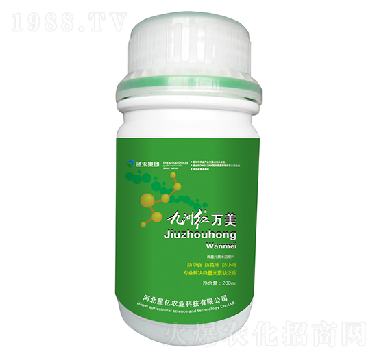 ���޼t�f(w��n)��-�{(l��n)������