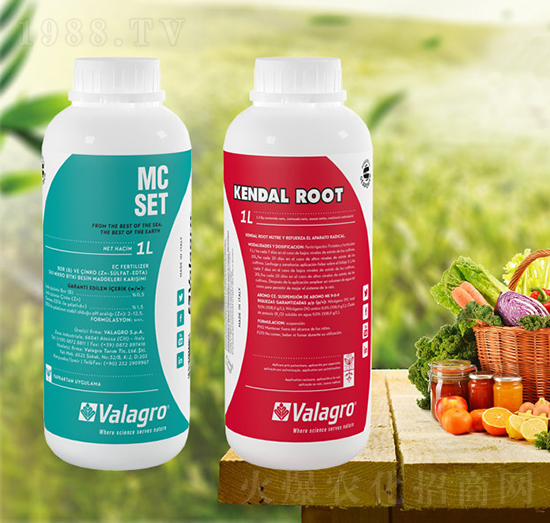 �����-���T�r�I(y��)