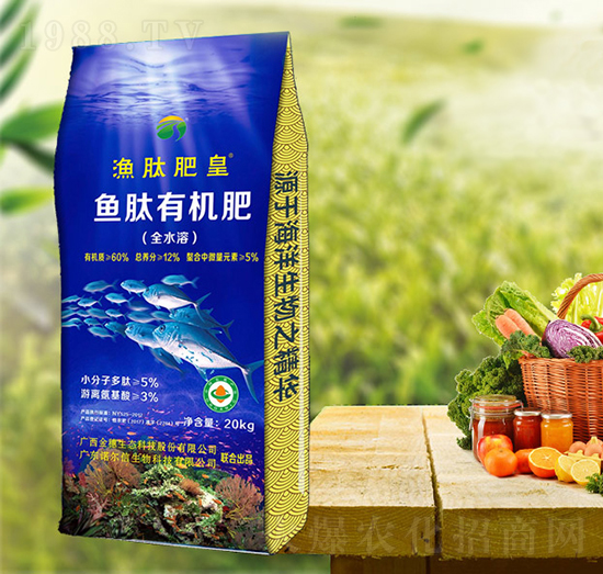 �~���ЙC��-�O�ķʻ�-���T�r�I(y��)