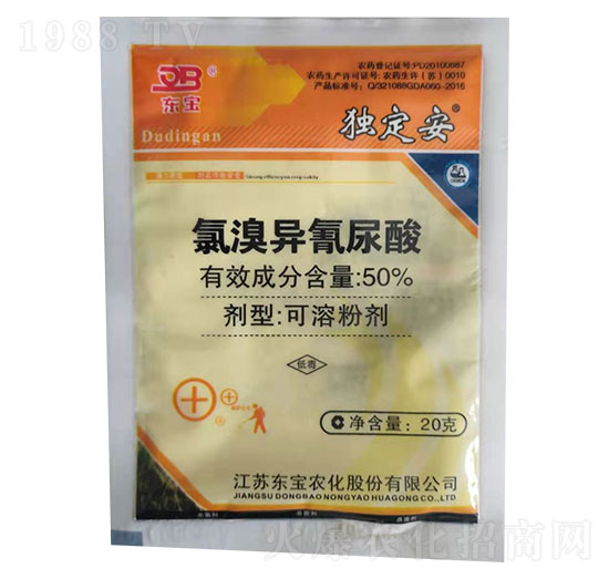 50%���宐������-������-�|��