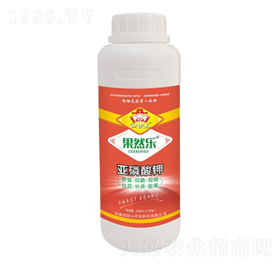 �������-���Ԫ