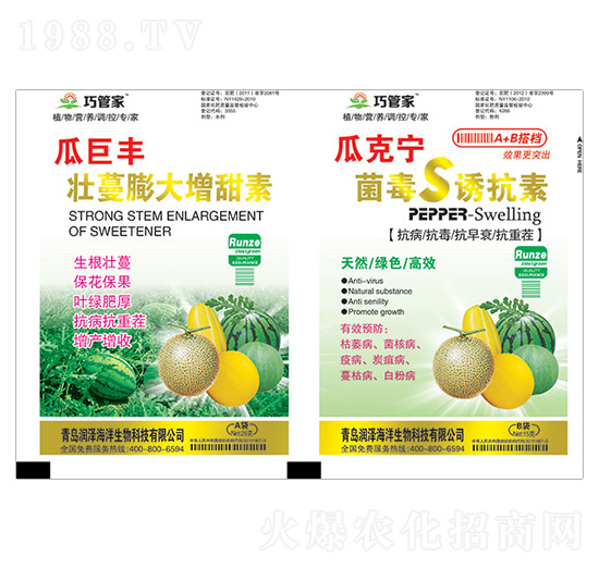 �Ͼ��S�������������+�Ͽˌ�����S�T����-�ɹܼ�-����