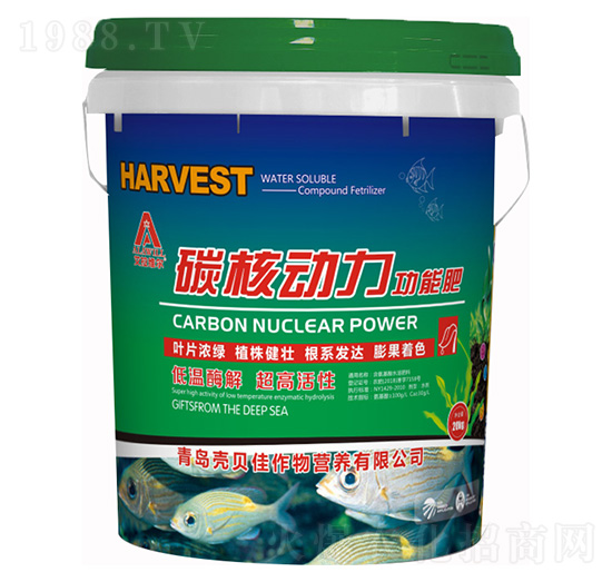 ̼�˄��������ܷ�-�����S��-��ؐ��