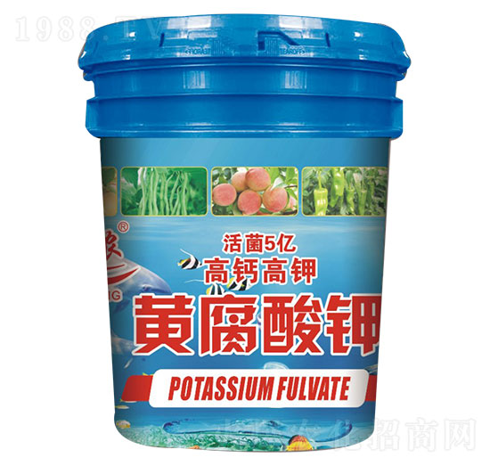 �S�����Һ�w-ӳ���r(n��ng)-���_(d��)����