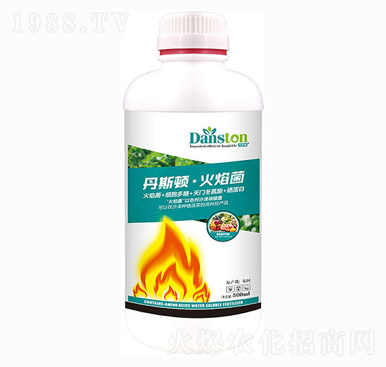 �����-��˹�D