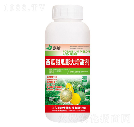 ����������������-ؐ������