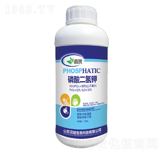 ��������-ؐ������