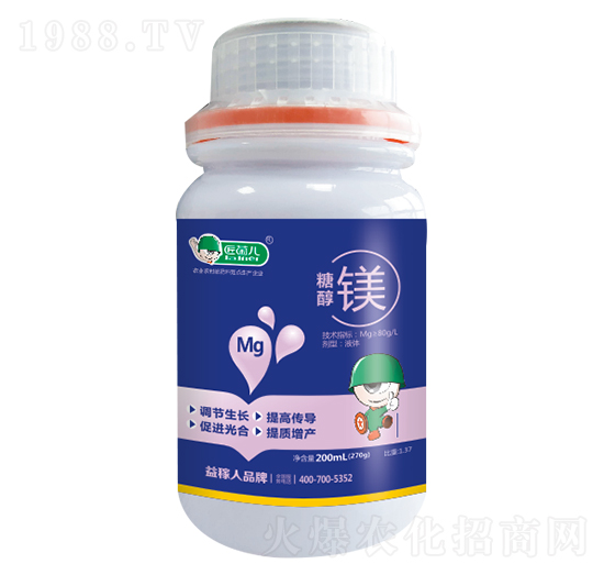 �Ǵ��V-������-�����