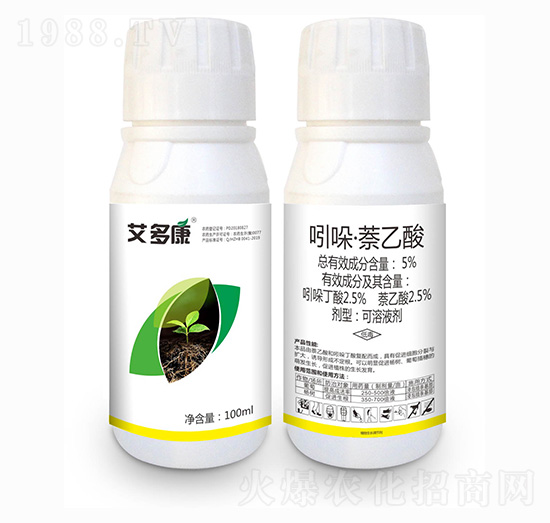 5%���ᡤ������-���࿵-��������