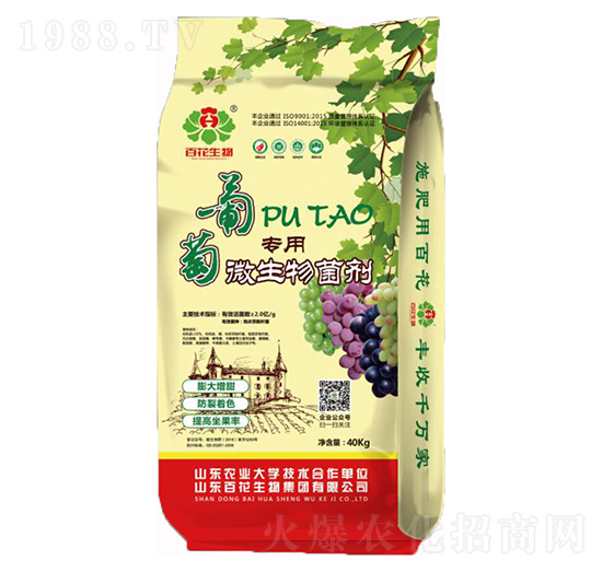 2�|���ь���΢�������-�ٻ�����