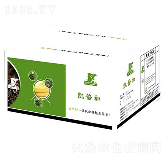 ���Ѽ׭h(hu��n)��-�P����-���A����