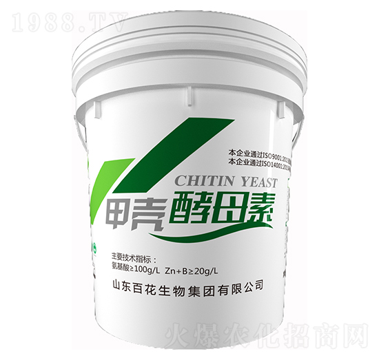 �ך���ĸ��-�ٻ�����