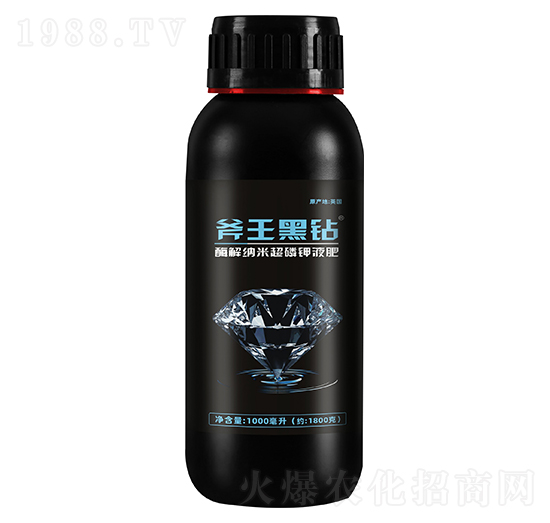 ø��{�׳����Һ��-�������@-��巉�