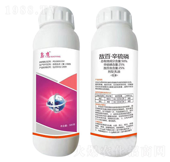 50%���١�����������-�n��-�����_(d��)