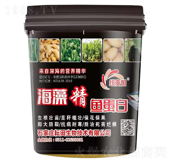 ���徫�~(y��)����-�~����-��������