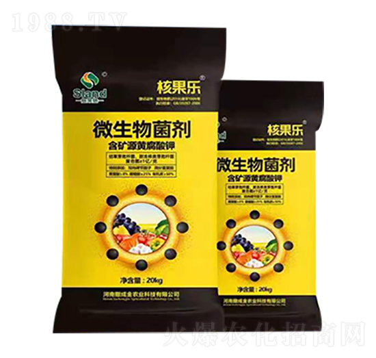 ΢������� �˹��� ���ɽ�