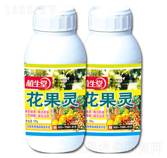 �����` ֲ���� �R������