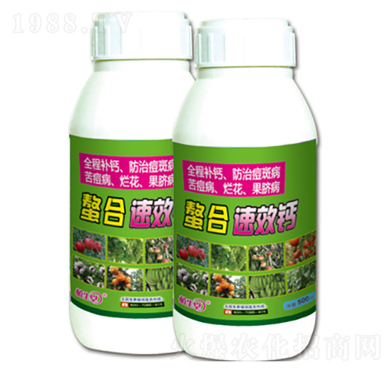 ����Ч�} �R������