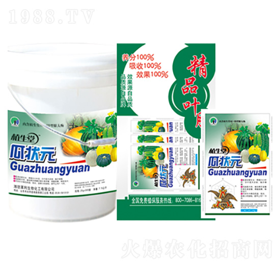 �Ϡ�Ԫ ֲ���� �R������